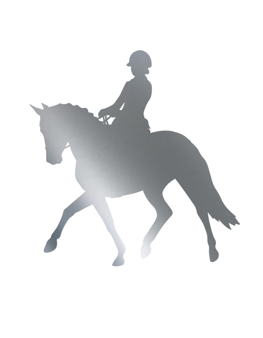 Angebot  Aufkleber "Dressur"