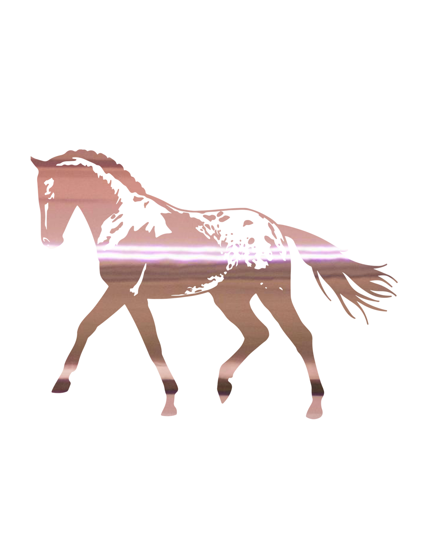 Aufkleber "Appaloosa"