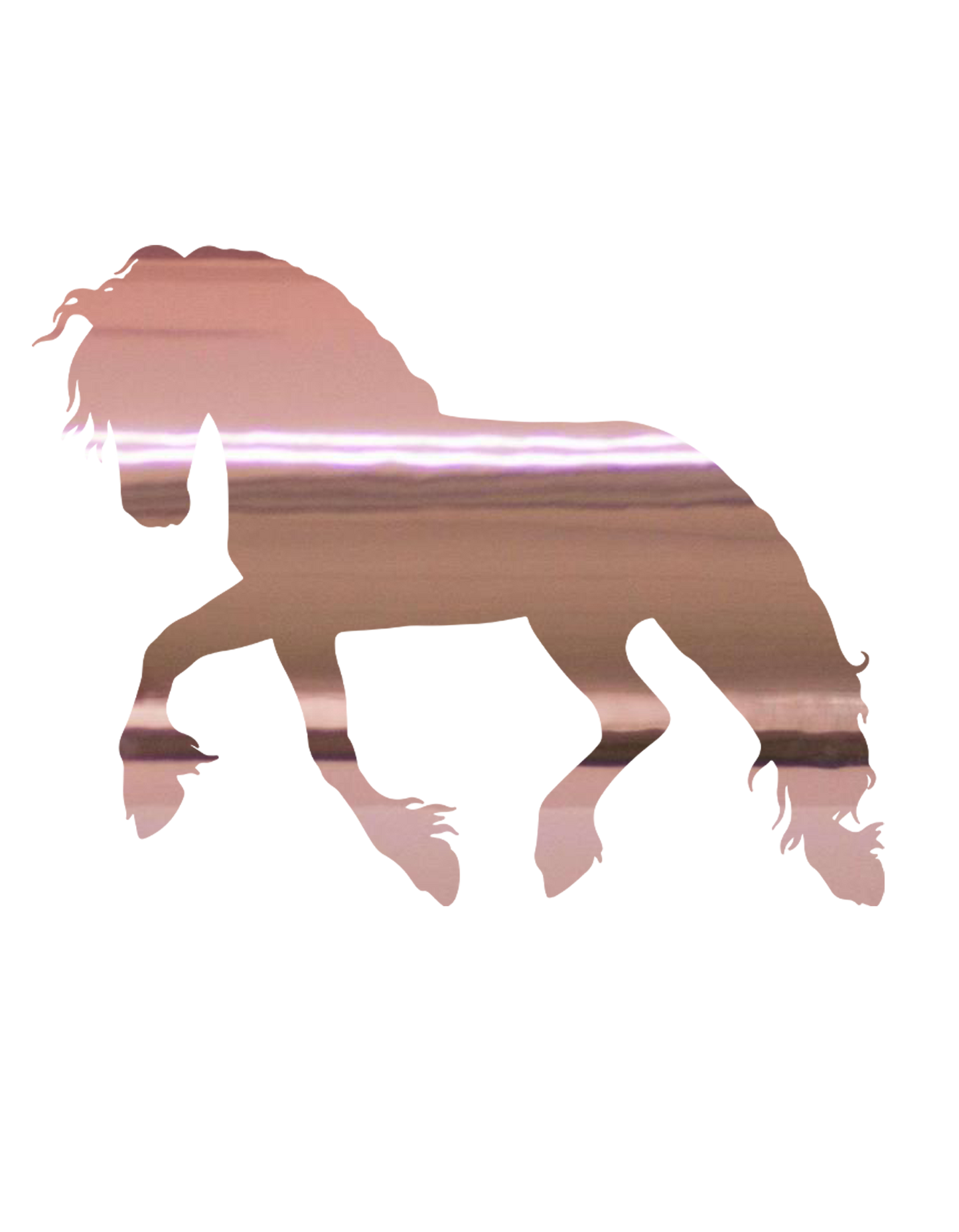 Aufkleber "Friese"