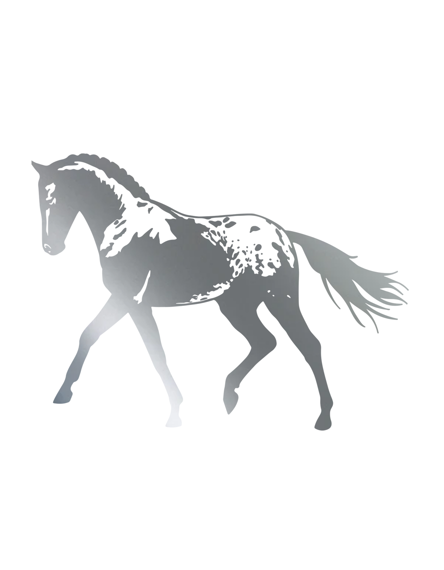 Aufkleber "Appaloosa"