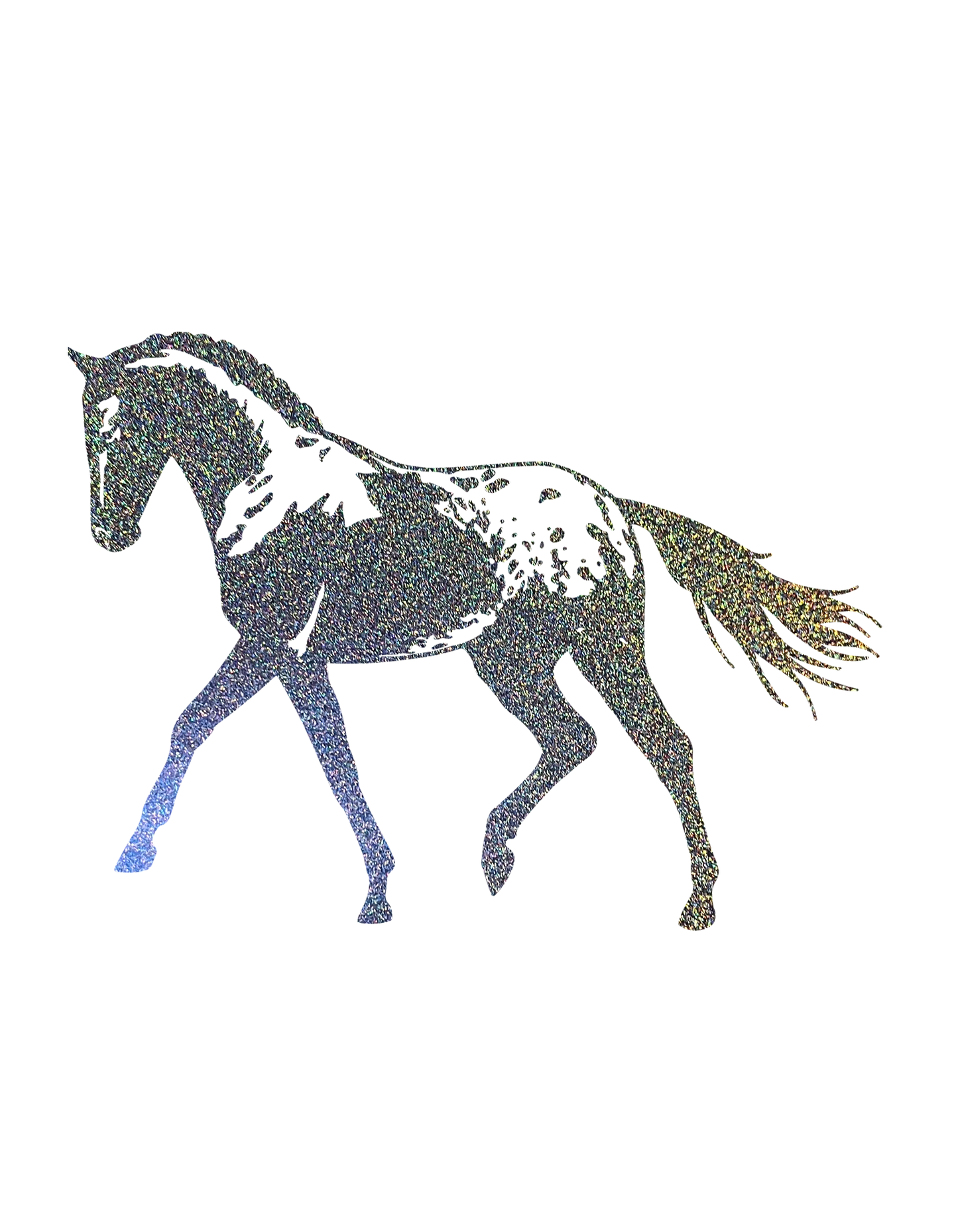 Aufkleber "Appaloosa"