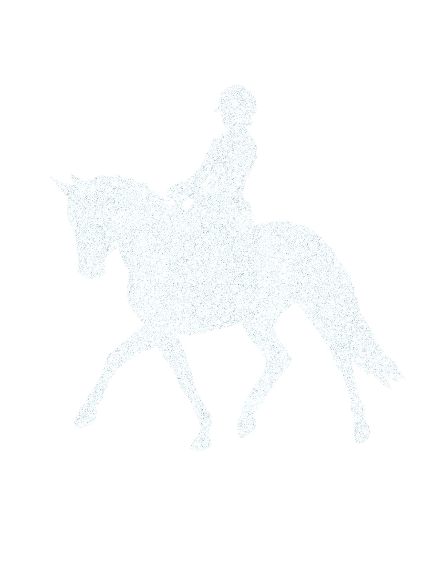 Aufkleber "Dressur"