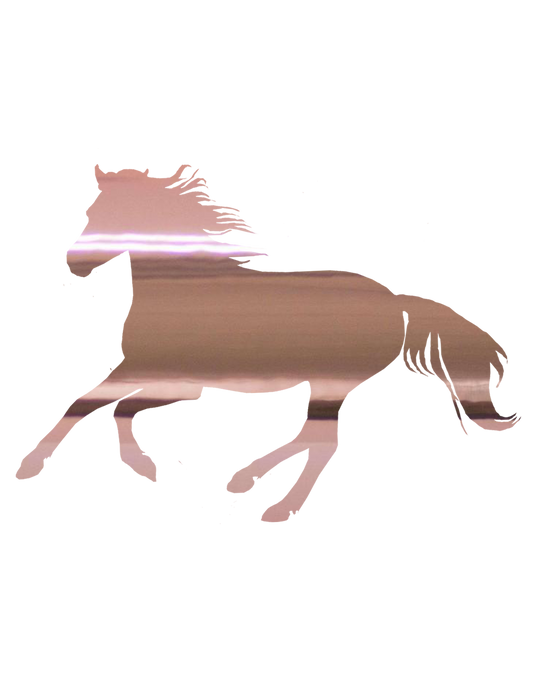 Aufkleber "Reitpony"
