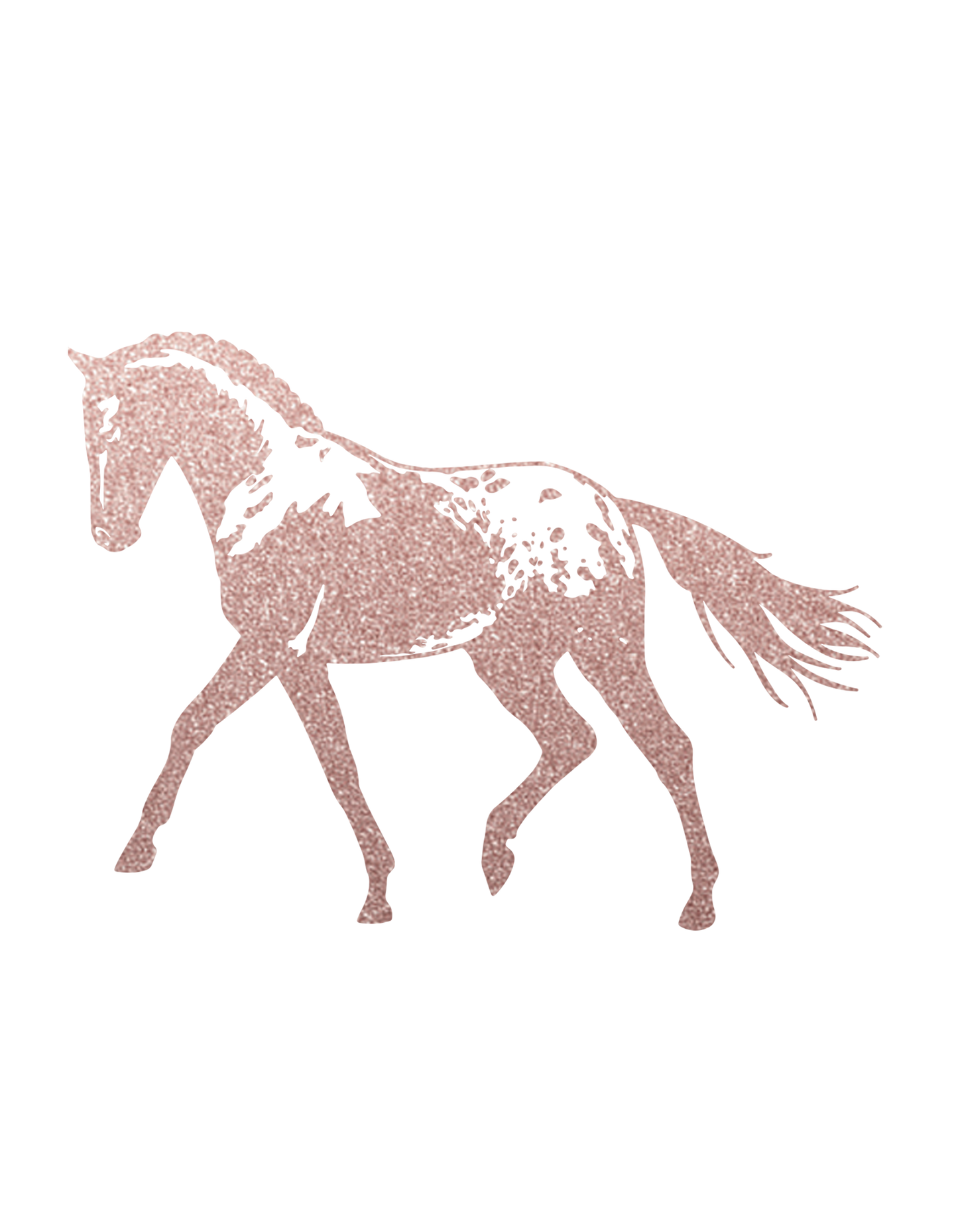 Aufkleber "Appaloosa"