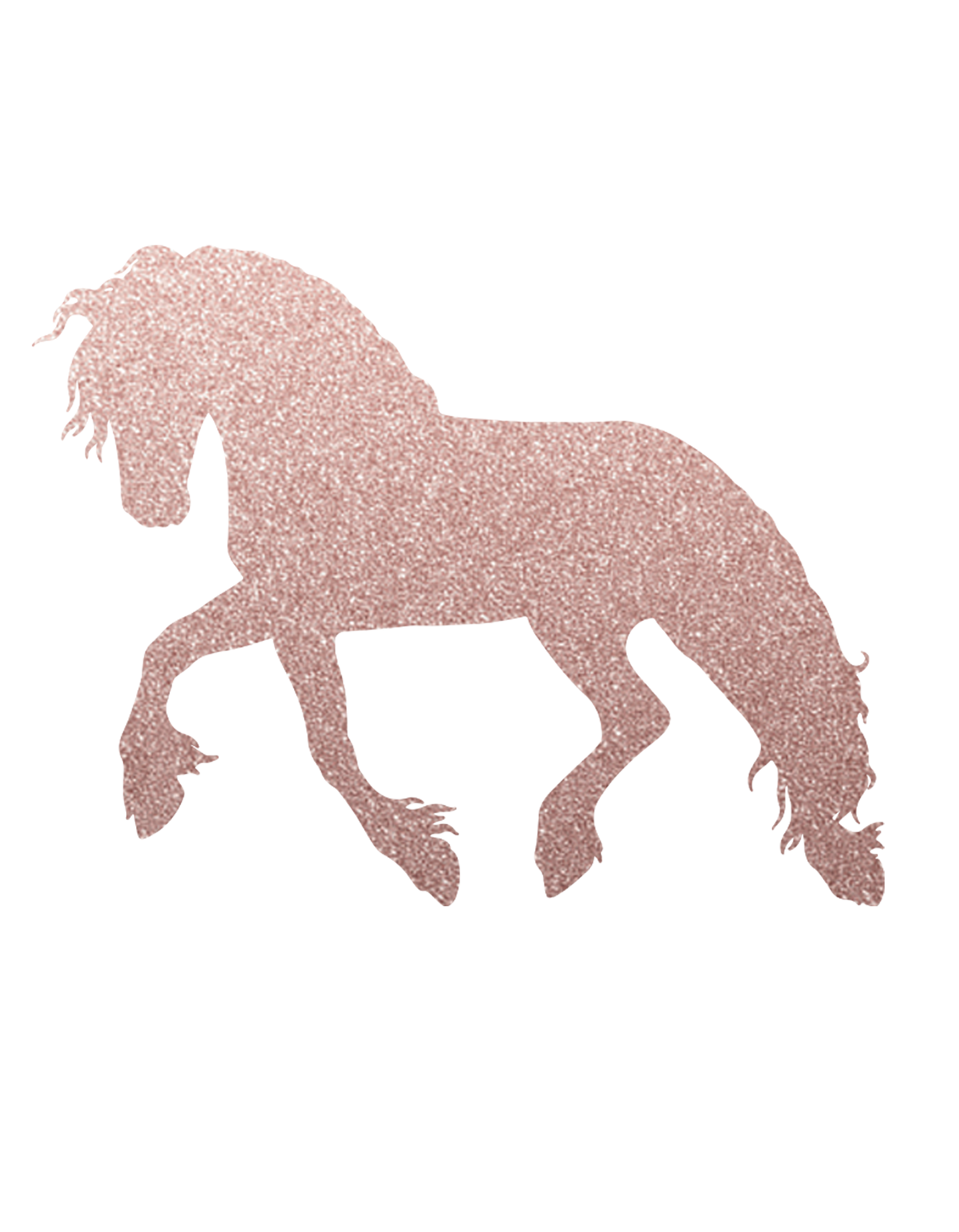 Aufkleber "Friese"
