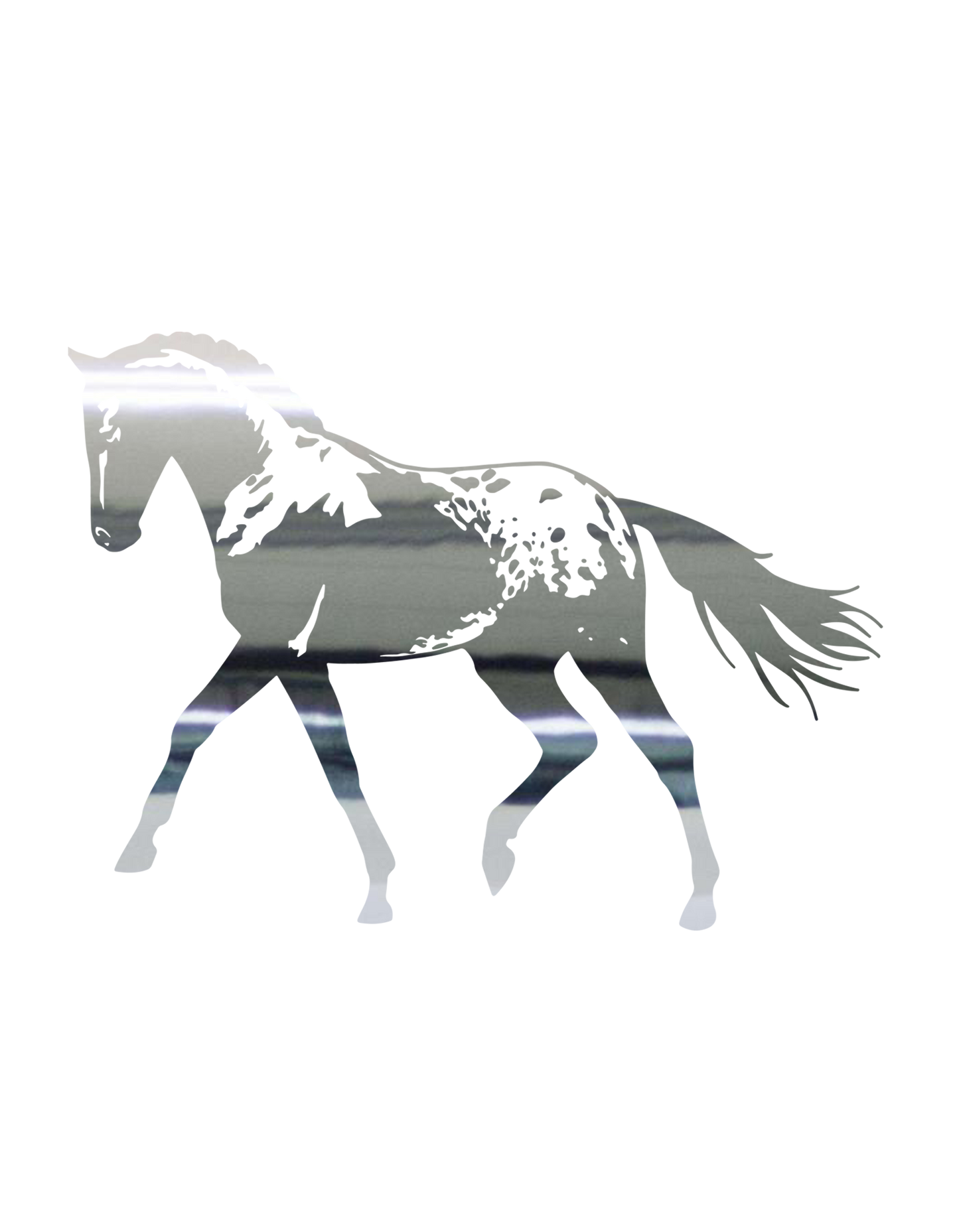 Aufkleber "Appaloosa"