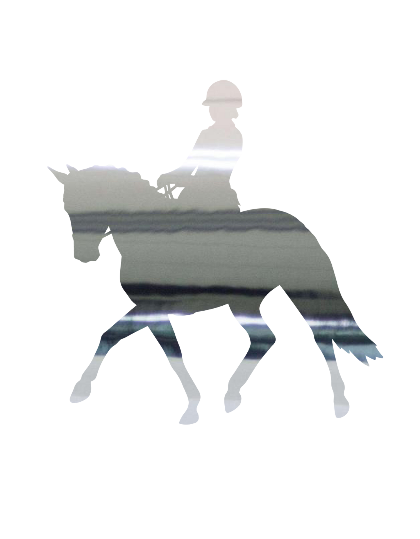 Aufkleber "Dressur"