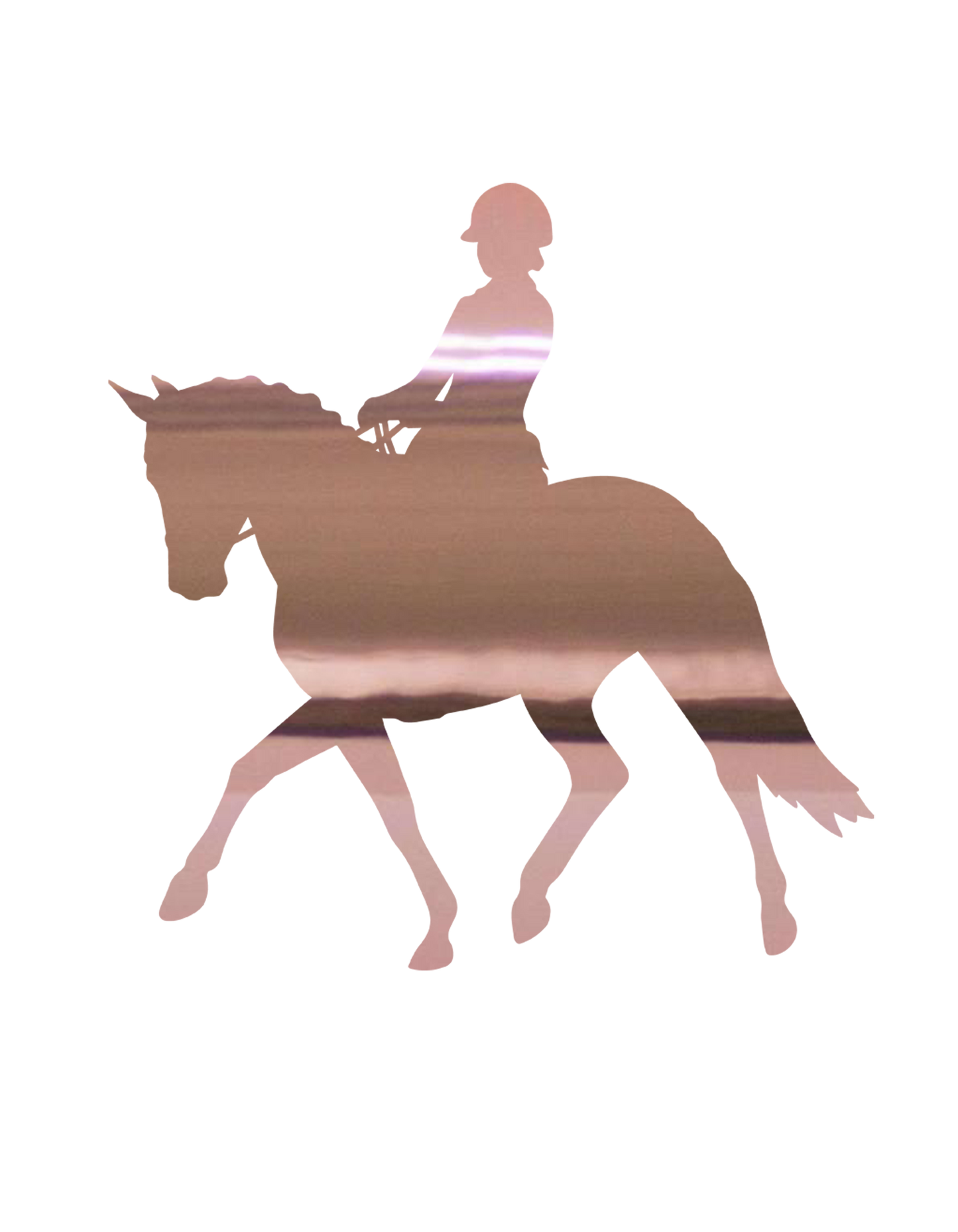 Aufkleber "Dressur"