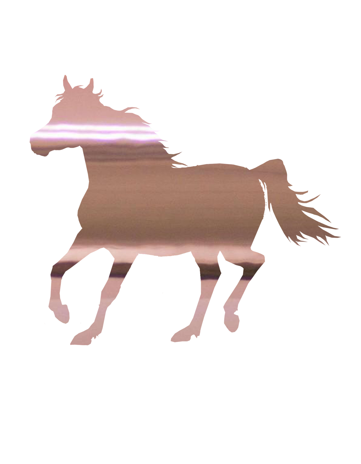 Aufkleber "Araber"