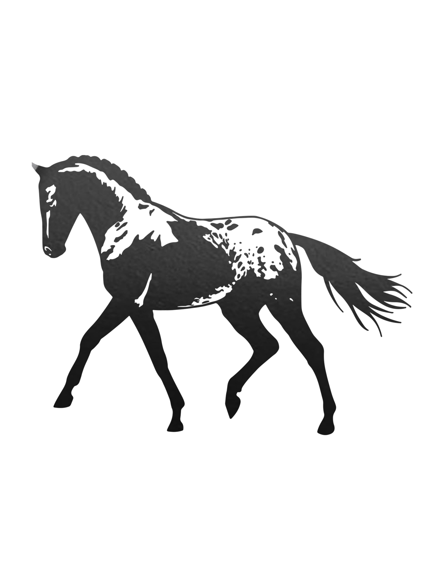 Aufkleber "Appaloosa"