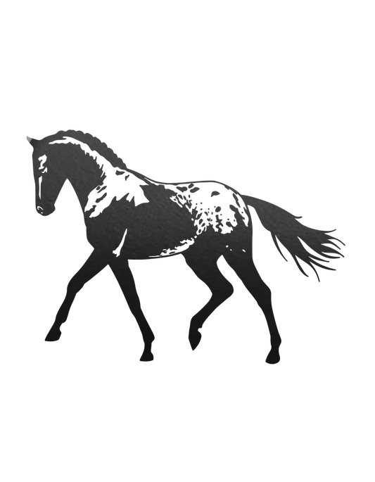 Aufkleber "Appaloosa"