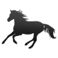 Aufkleber "Reitpony"