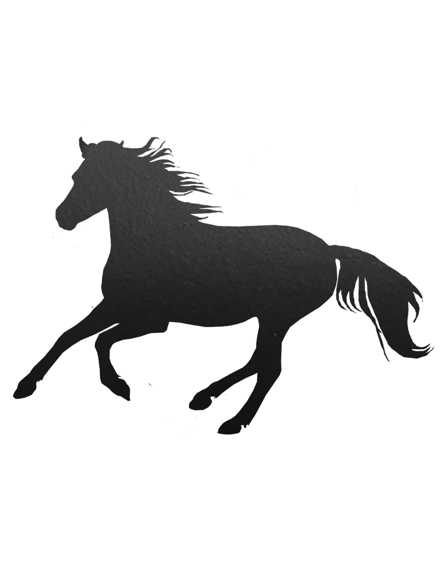 Aufkleber "Reitpony"