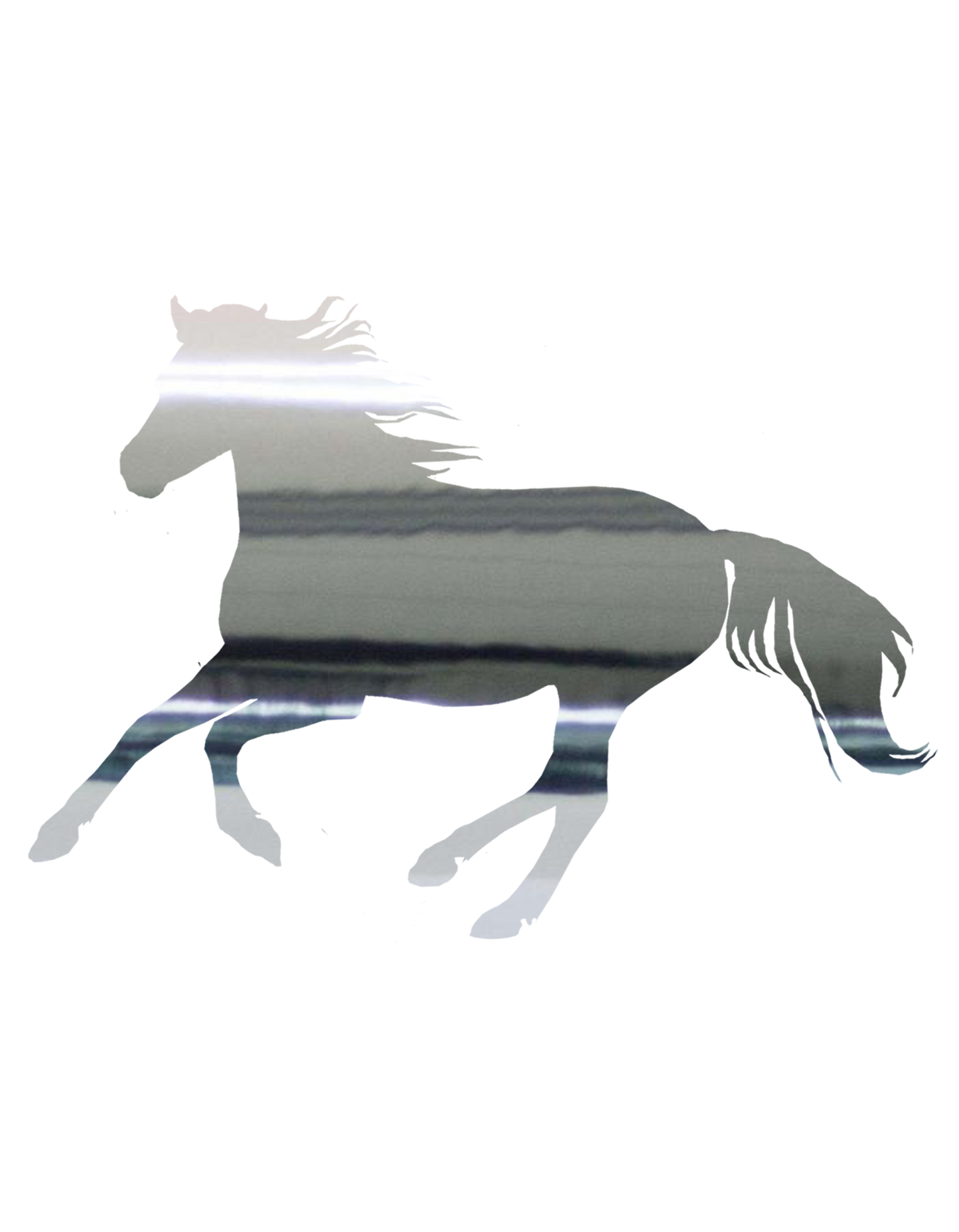 Aufkleber "Reitpony"