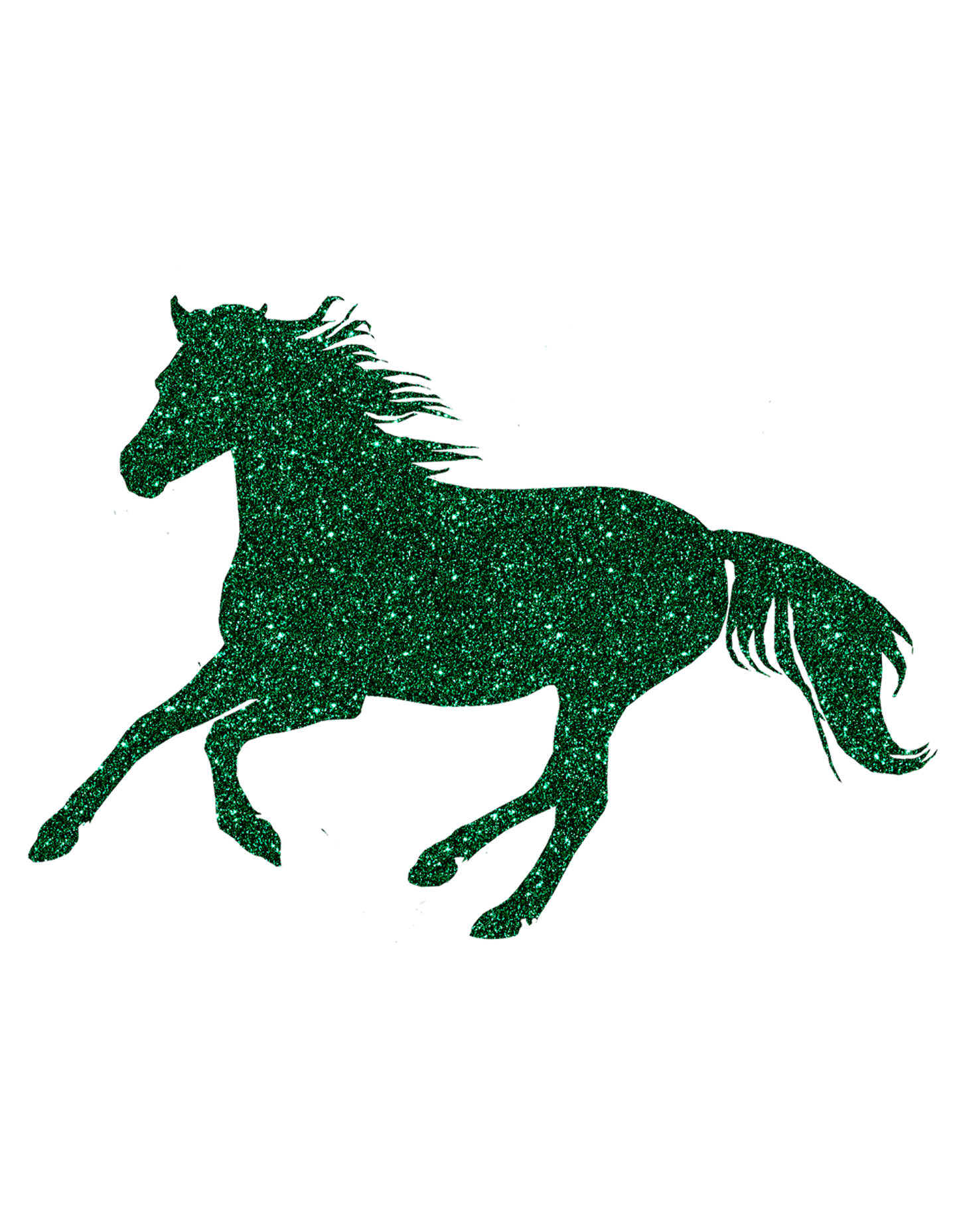 Aufkleber "Reitpony"