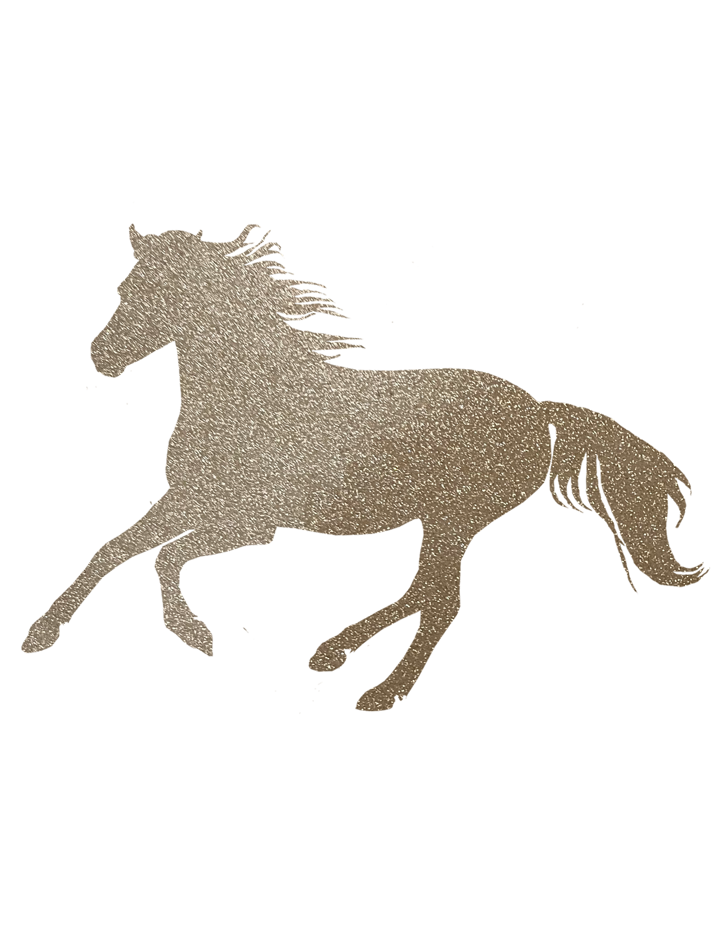 Aufkleber "Reitpony"