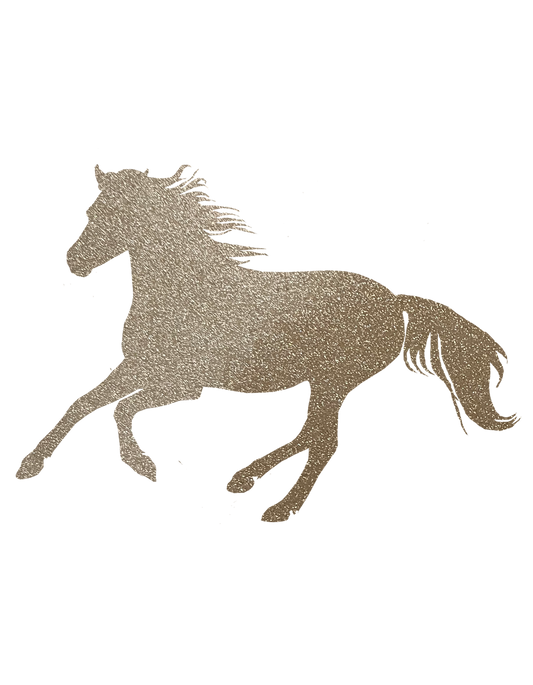 Aufkleber "Reitpony"