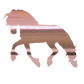Aufkleber "Friese"