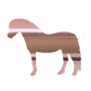 Aufkleber "Welsh Pony"