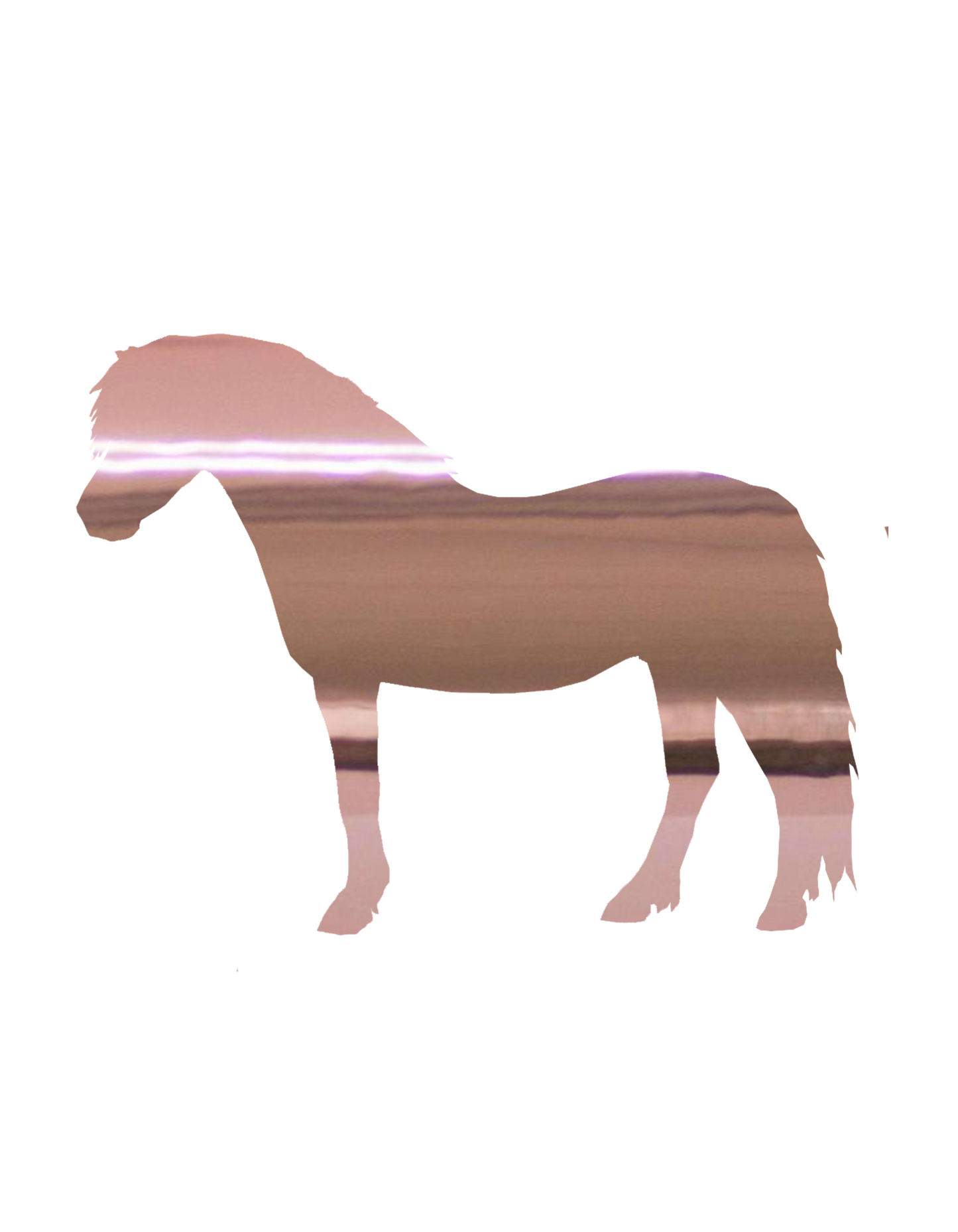Aufkleber "Welsh Pony"