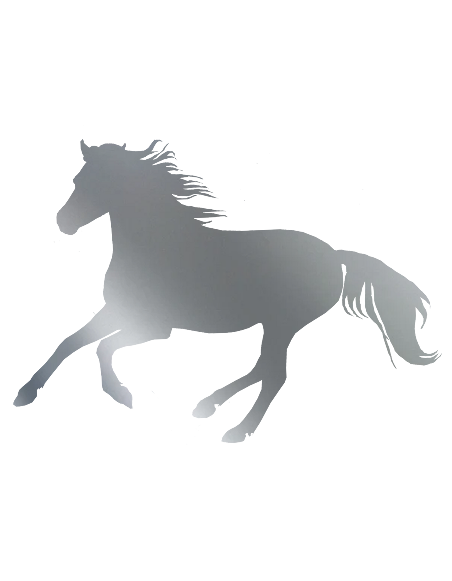 Aufkleber "Reitpony"