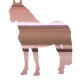 Aufkleber "Kaltblut 2"