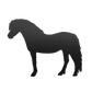 Aufkleber "Welsh Pony"