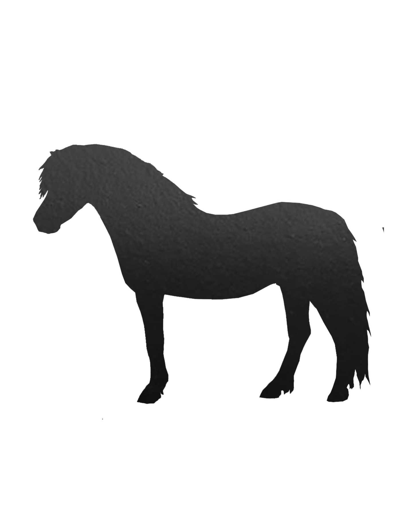 Aufkleber "Welsh Pony"