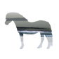 Aufkleber "Welsh Pony"