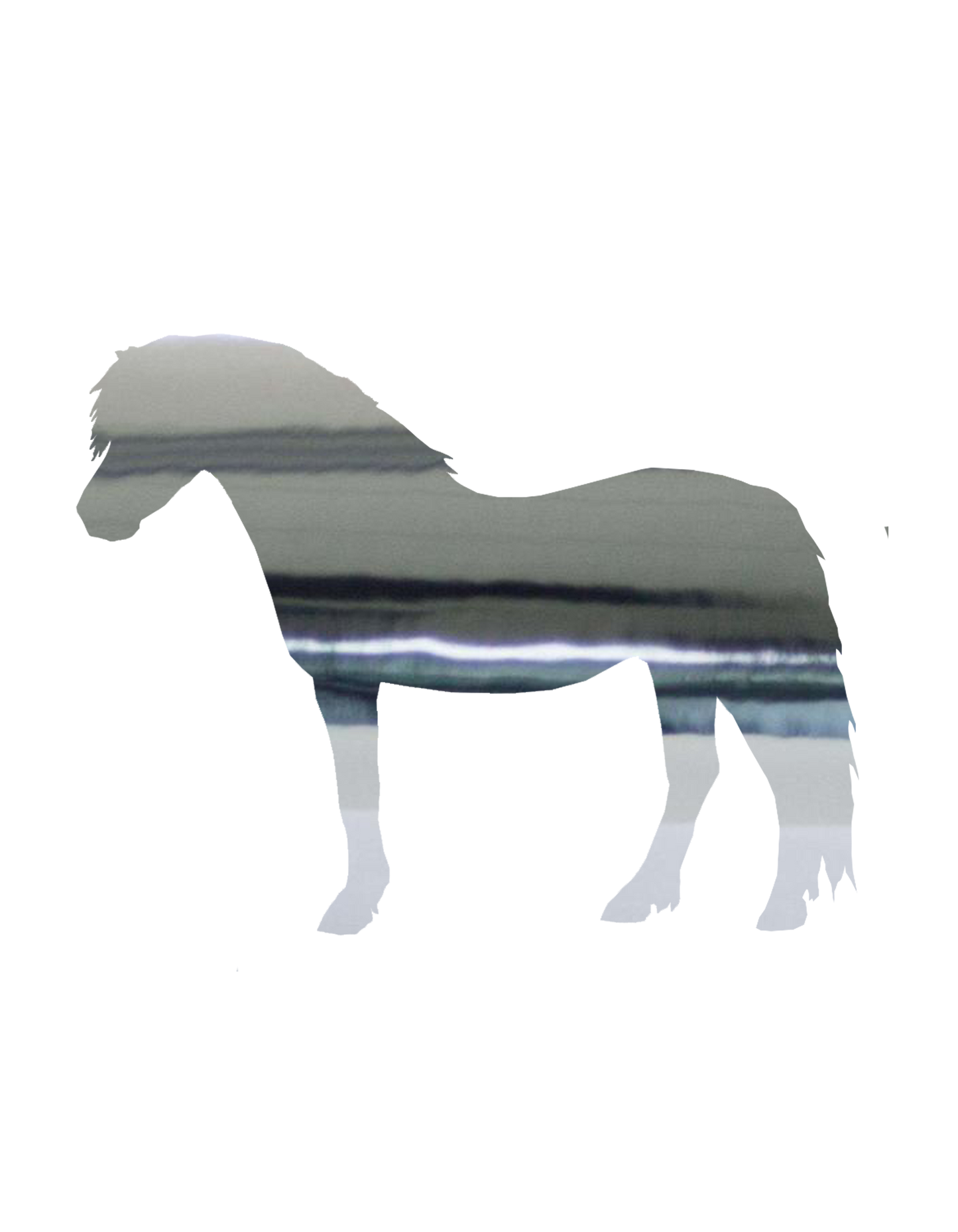 Aufkleber "Welsh Pony"
