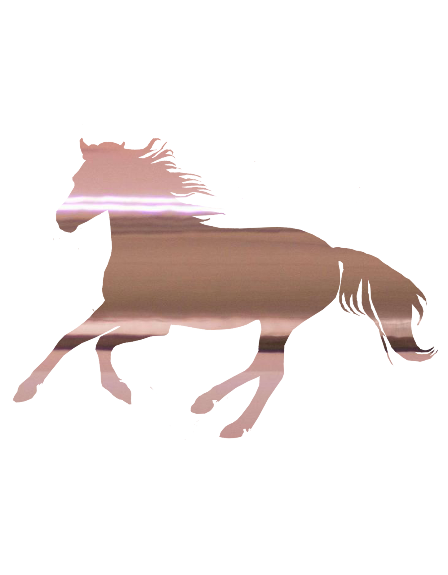 Aufkleber "Reitpony"