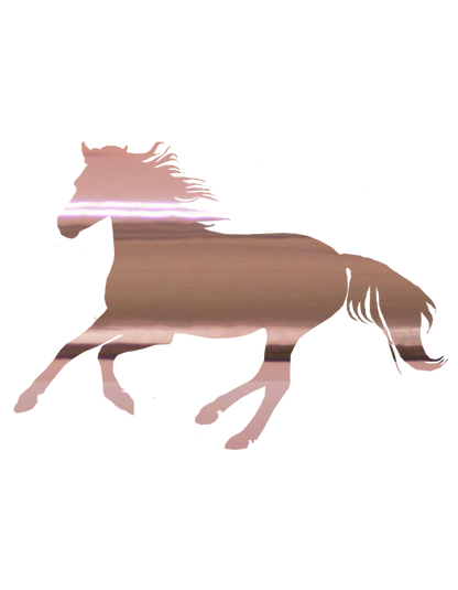 Aufkleber "Reitpony"