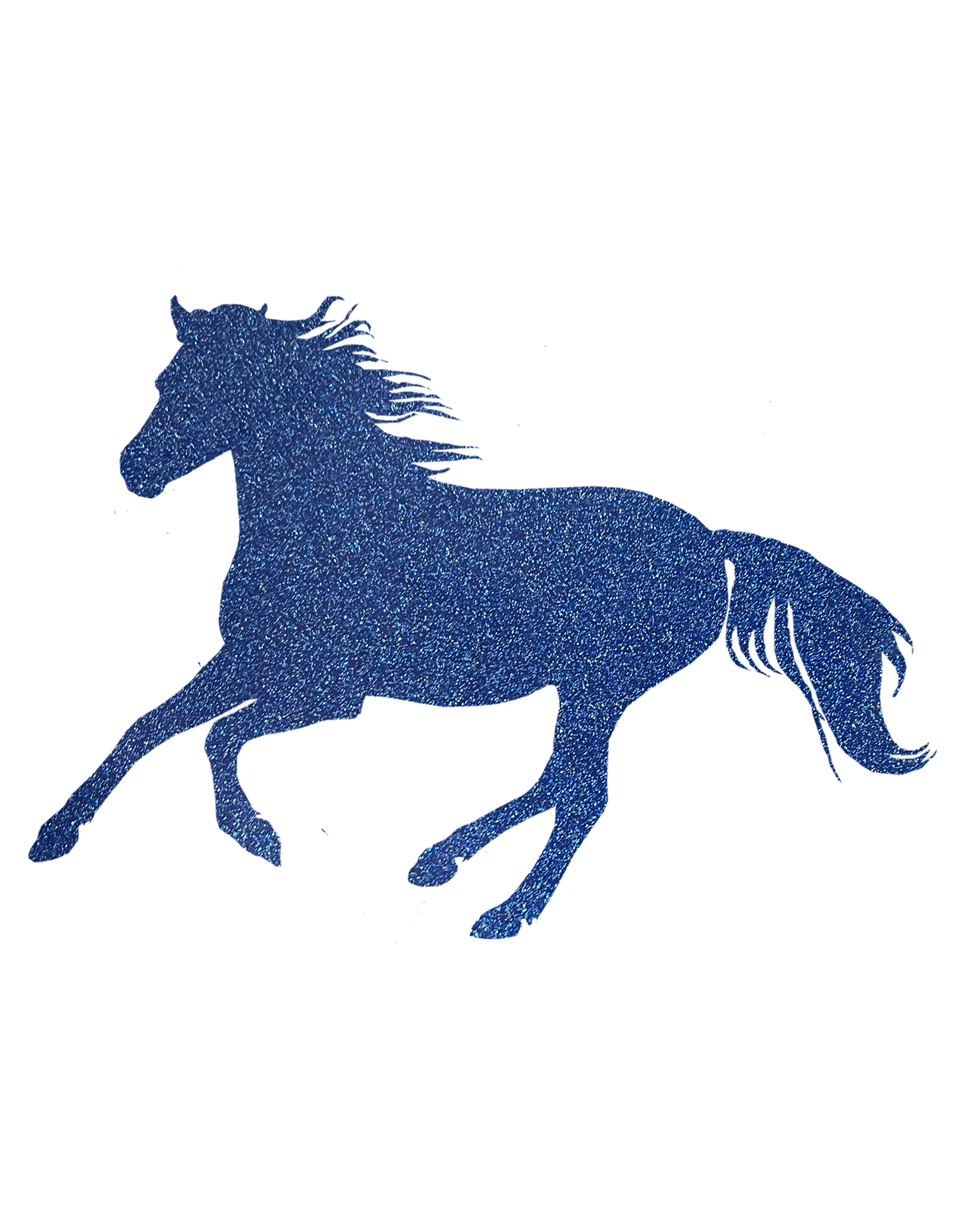 Aufkleber "Reitpony"