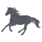 Aufkleber "Reitpony"