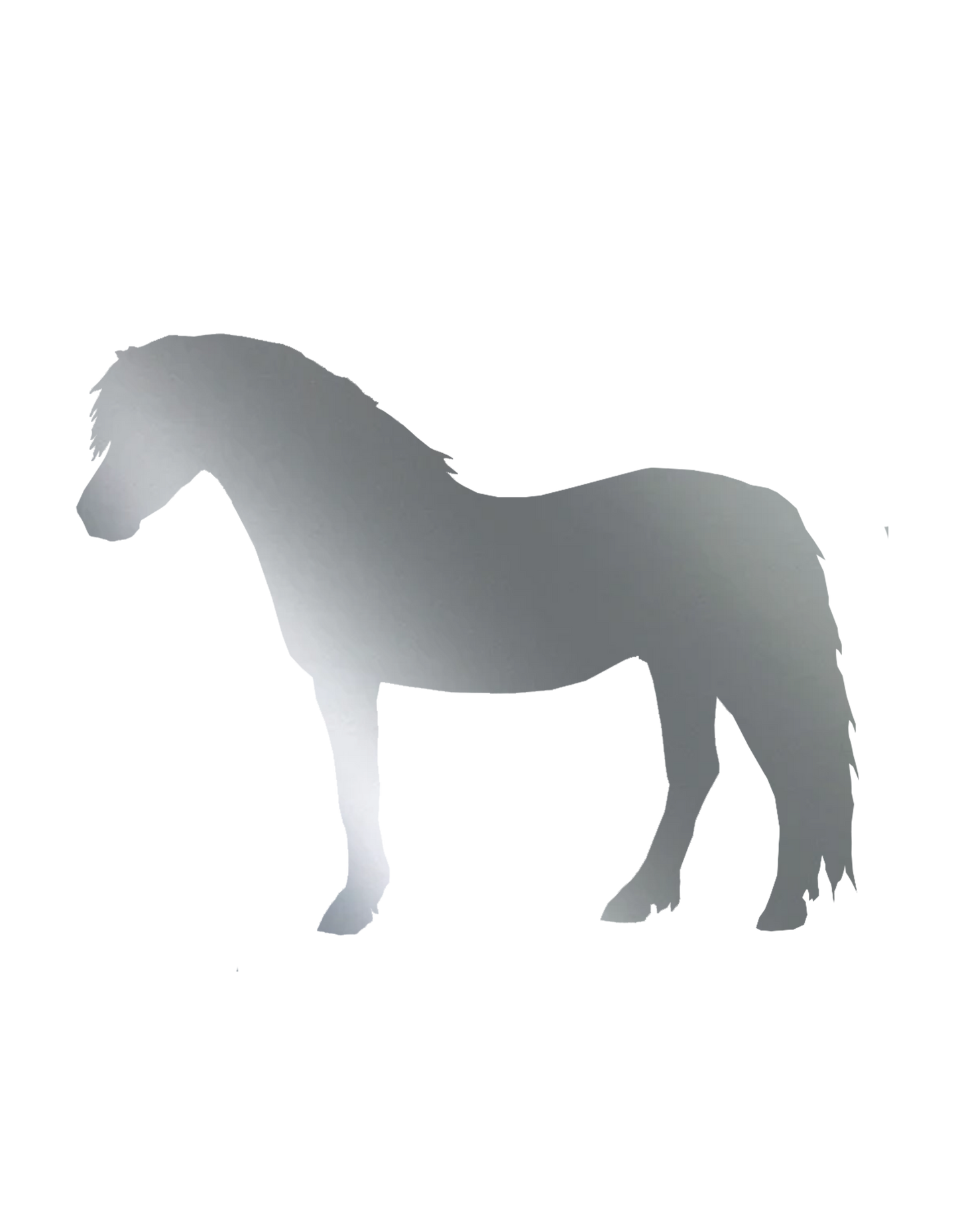 Aufkleber "Welsh Pony"