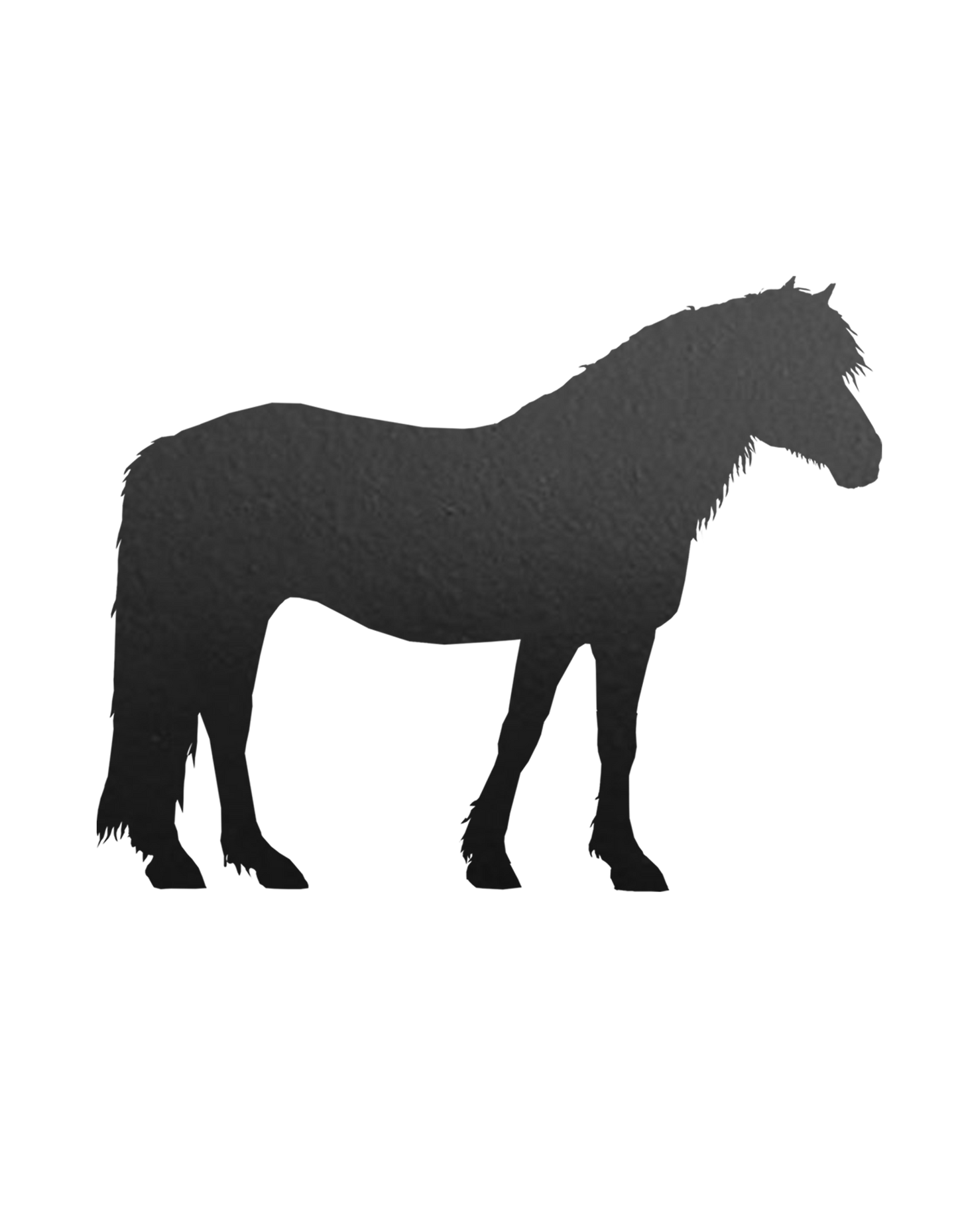 Aufkleber "Haflinger 2"
