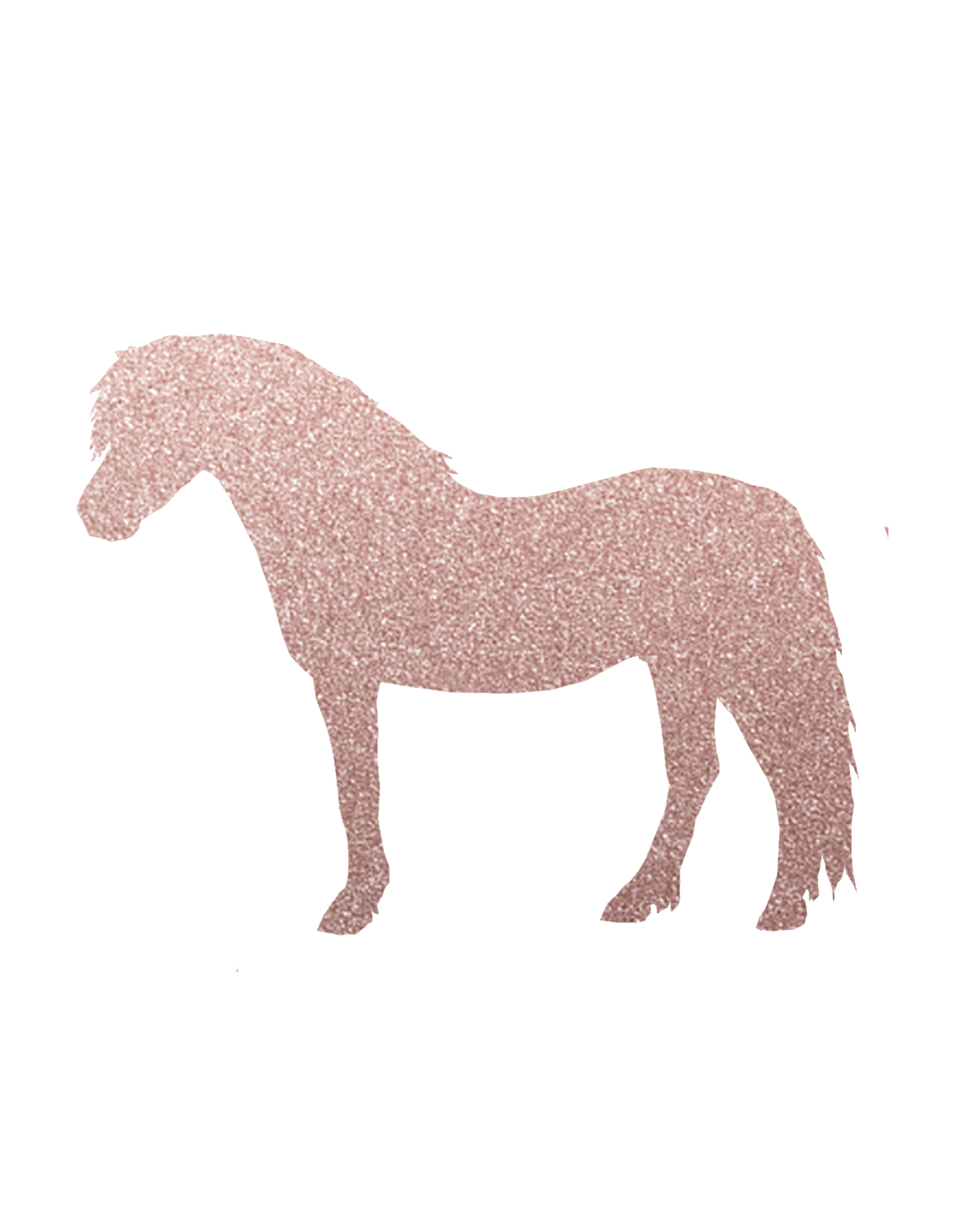Aufkleber "Welsh Pony"
