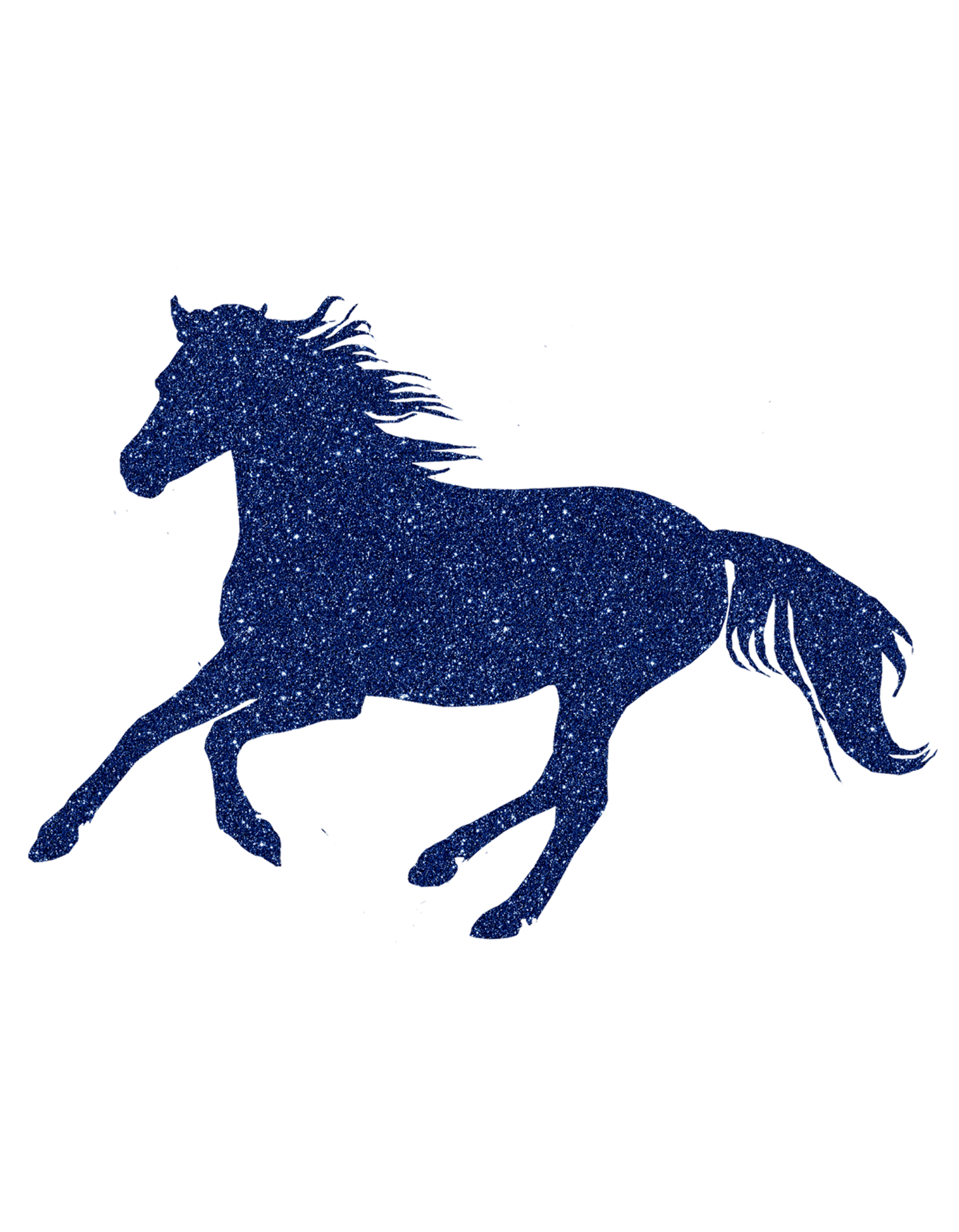 Aufkleber "Reitpony"