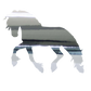 Aufkleber "Friese"