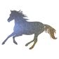 Aufkleber "Reitpony"
