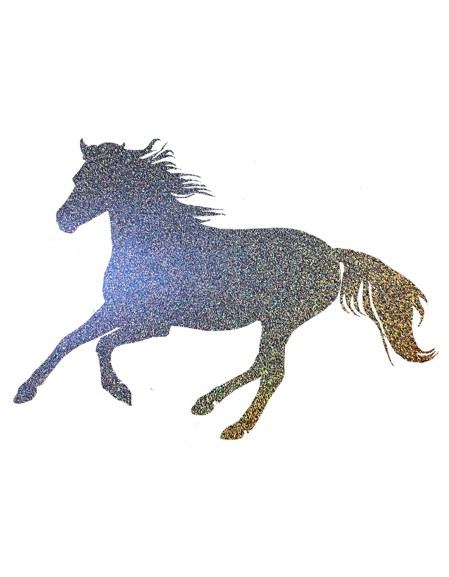 Aufkleber "Reitpony"