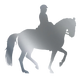 Aufkleber "Dressage Dancer"