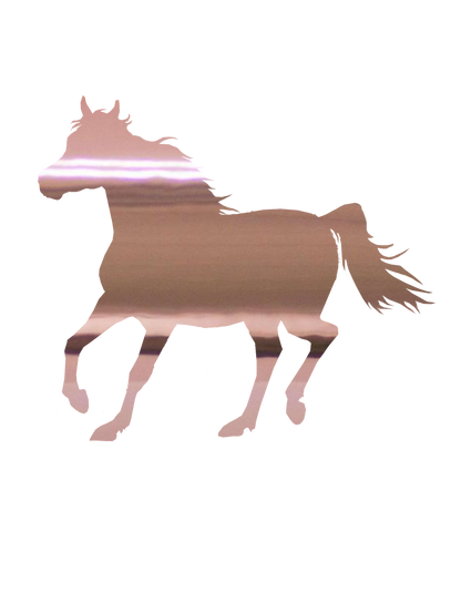 Aufkleber "Araber"